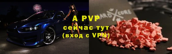 СК Верея