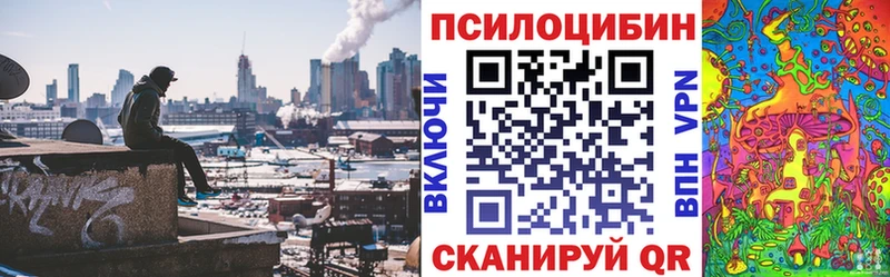 Галлюциногенные грибы мухоморы  купить закладку  Навашино 