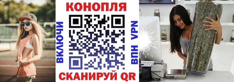 как найти закладки Навашино Бошки марихуана конопля